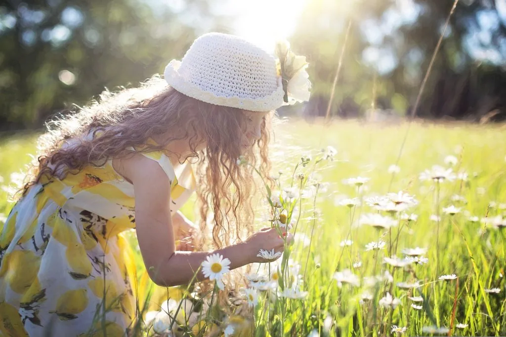 Hands picking wildflowers